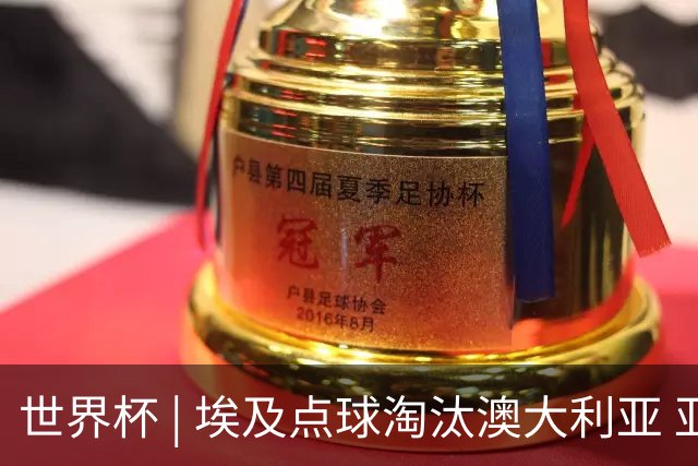 世界杯 | 埃及点球淘汰澳大利亚 亚洲区球队全部出局