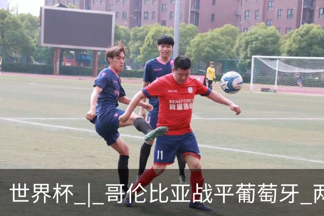 世界杯 | 哥伦比亚战平葡萄牙 两队携手晋级32强