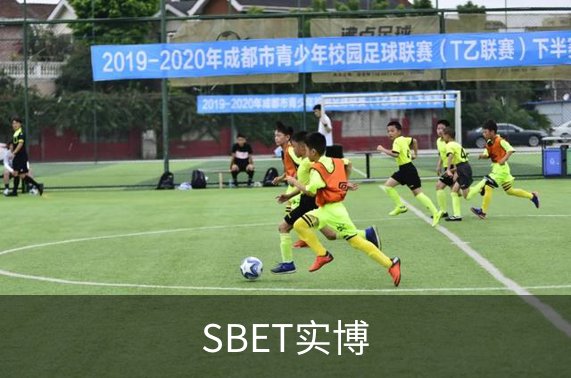 SBET实博介绍